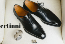 Bertinni
