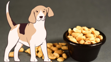 Allintitle:Are Peanuts Good For Dogs