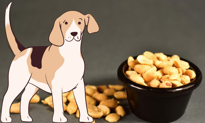Allintitle:Are Peanuts Good For Dogs