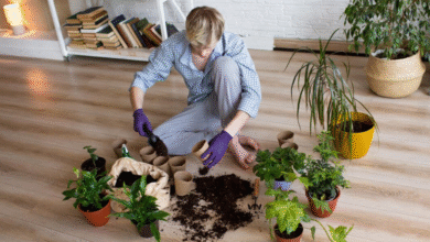 Whats Best For Plants Binchotan Charcoal or Biochar