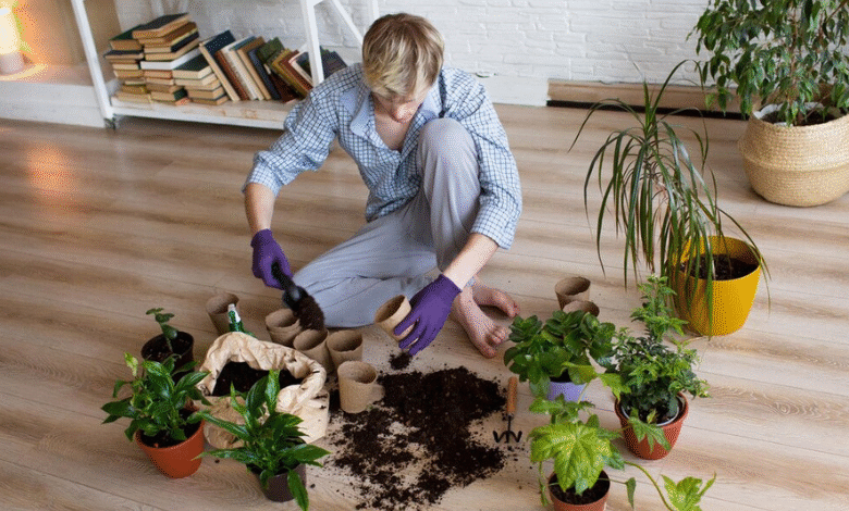 Whats Best For Plants Binchotan Charcoal or Biochar
