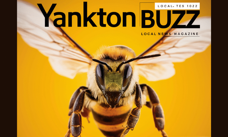 Yankton Buzz
