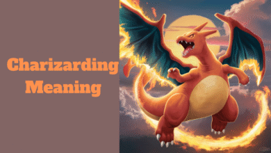 Charizarding Meaning