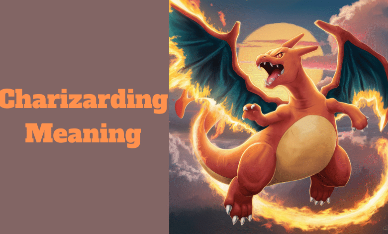 Charizarding Meaning